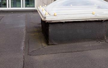 disadvantages of Deeping St Nicholas flat roofs