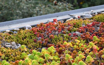the cost of Deeping St Nicholas green roof installation
