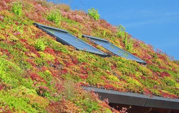 Deeping St Nicholas living roof systems