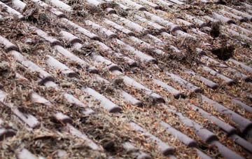 Deeping St Nicholas roof cleaning companies