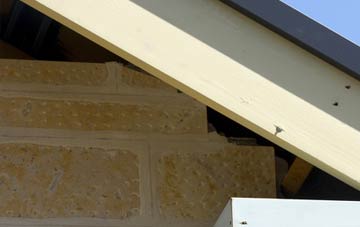soffit repair Deeping St Nicholas
